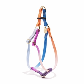 Flat Webbing Cotton Dog Harness Lois