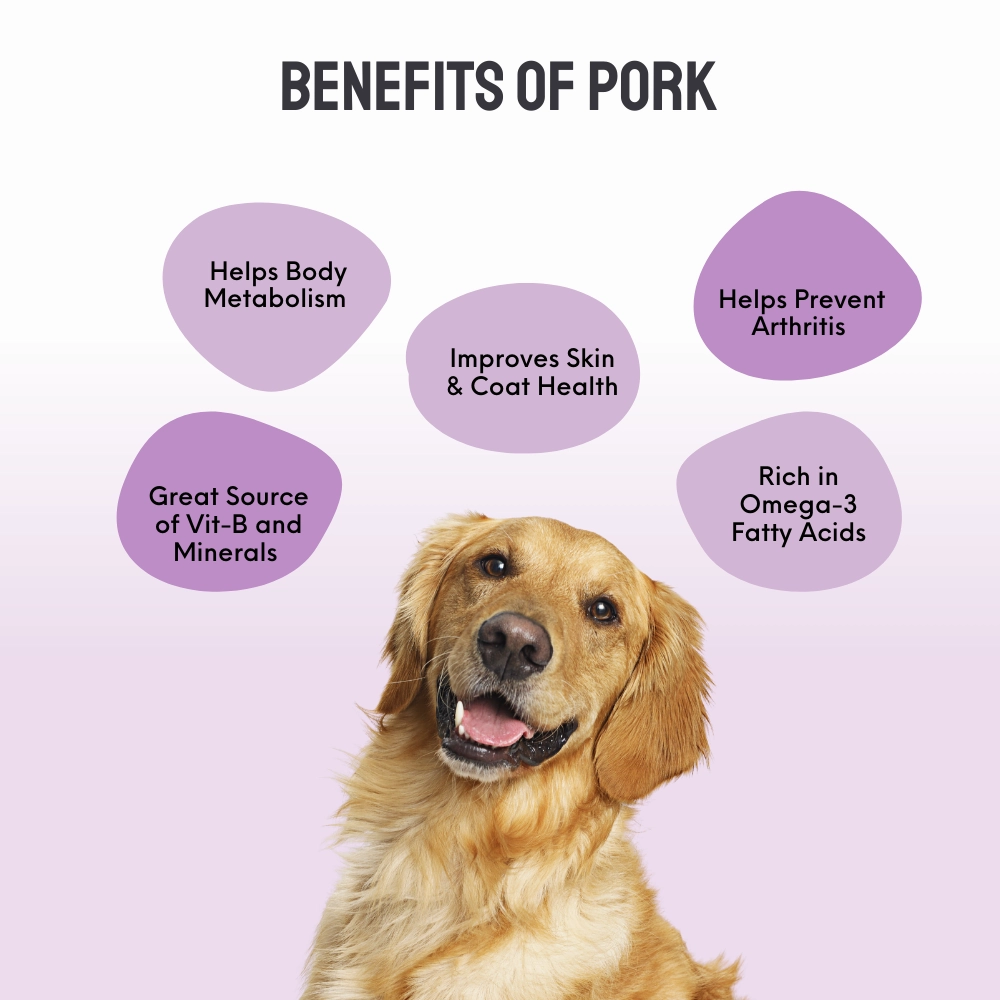 Floof & Co Pork Chew, Bacon Cheese, Chicken Cheese, Roasted Lamb and Smoked Lamb Dog Treats Combo