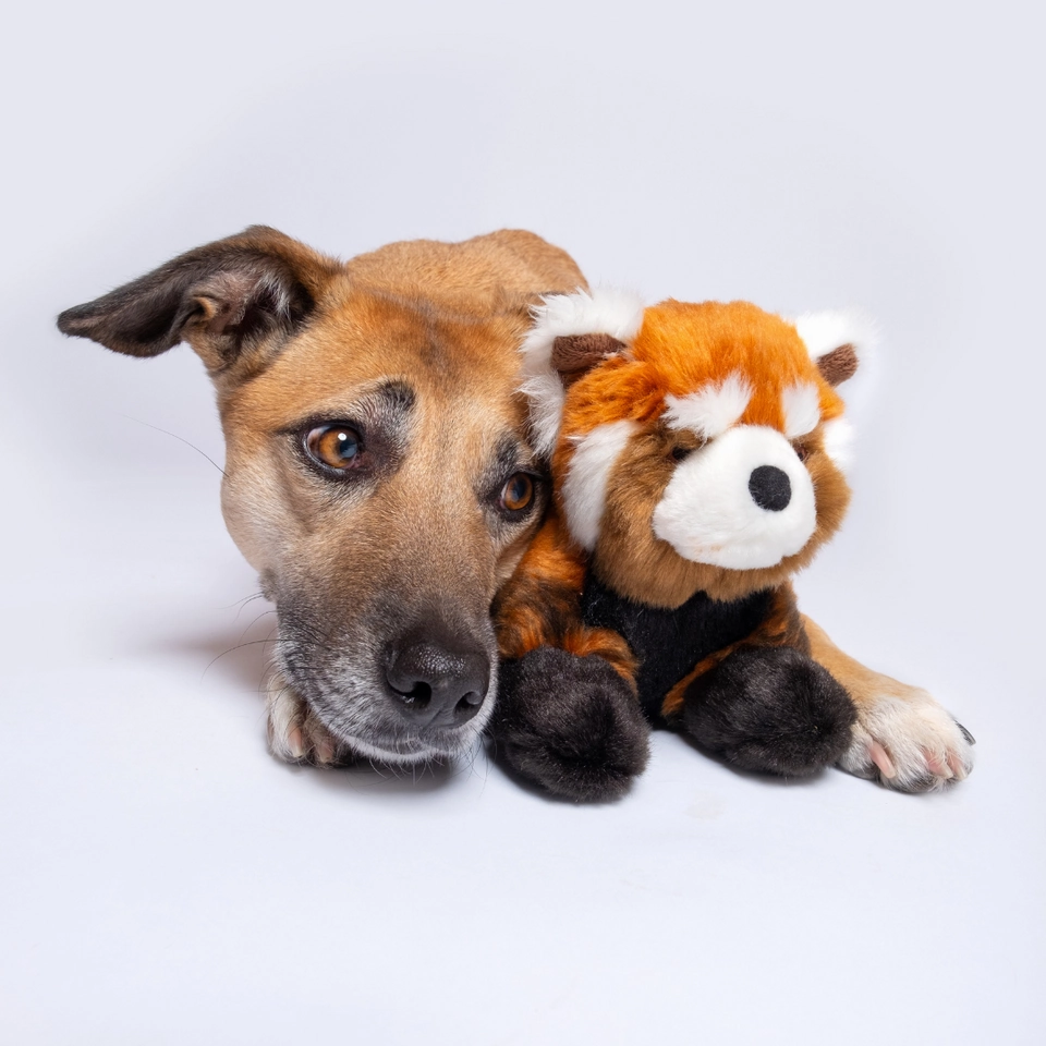 Fluff & Tuff Archie Red Panda Plush Dog Toy
