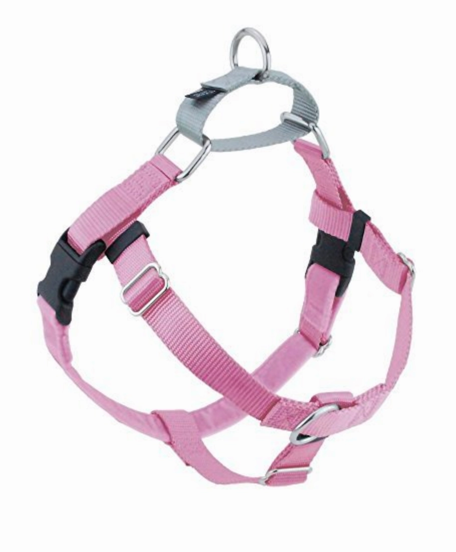 Freedom No Pull Harness