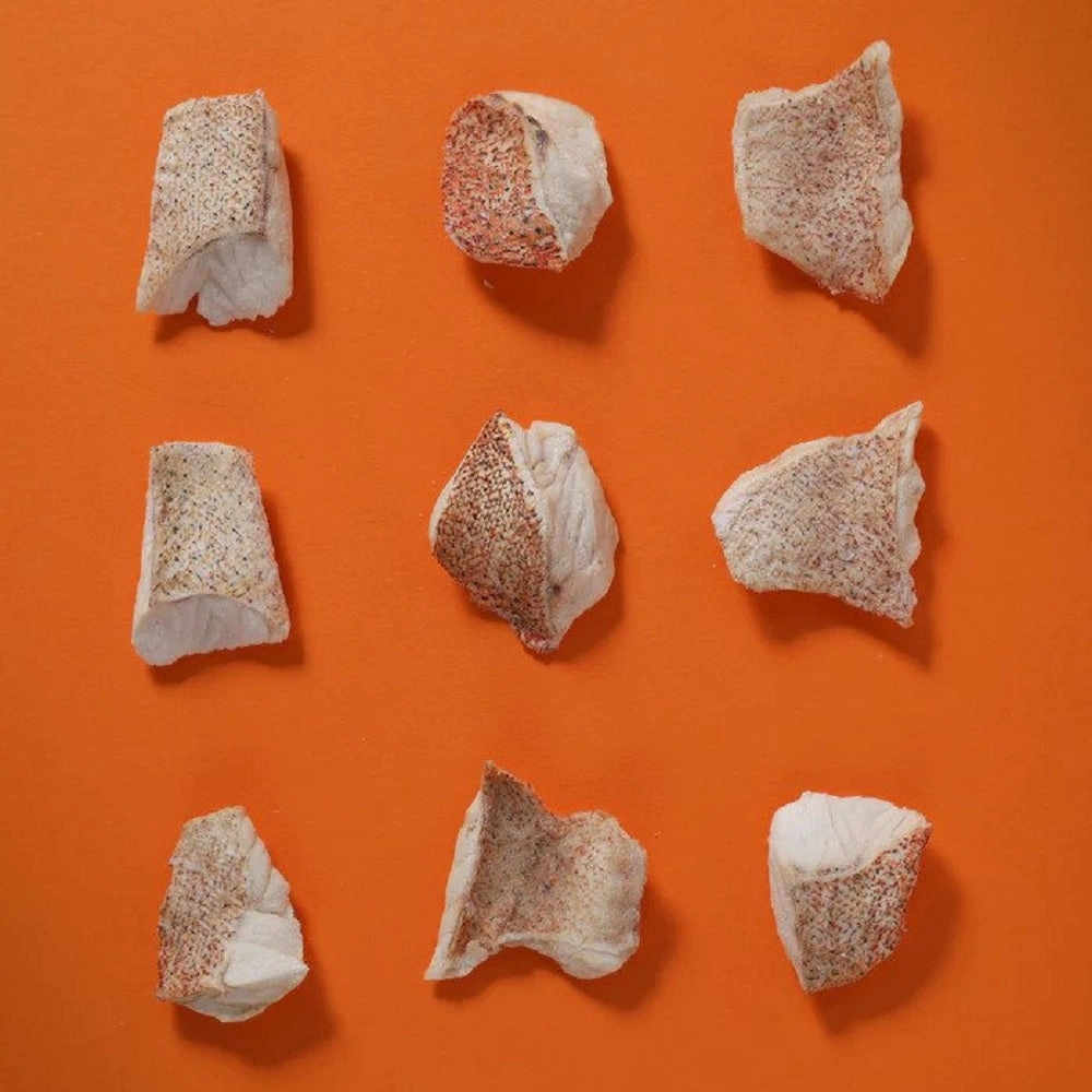 Freeze Dried Red Grouper Treats for Dogs and Cats