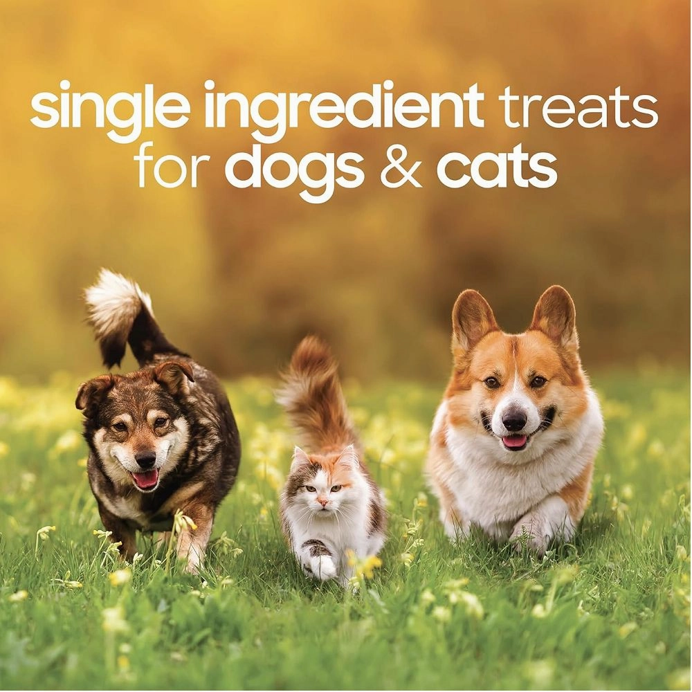 Freeze Dried Turkey Hearts Dog Treats