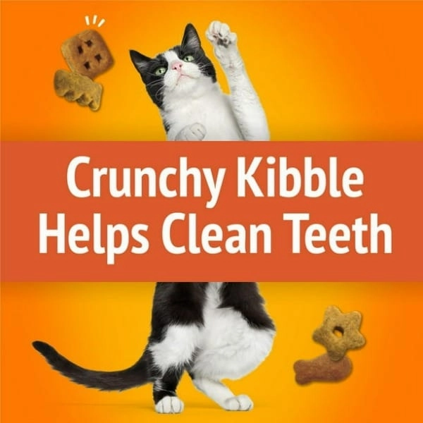 Friskies Party Mix Original Crunch Cat Treats