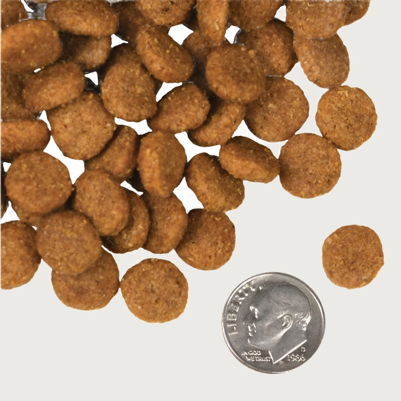 FROMM Four-Star Nutritionals Pork & Applesauce Recipe for Dogs