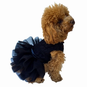 Fufu Tutu Lace Dog Dress Black