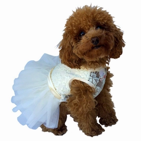Fufu Tutu Lace Dog Dress Ivory