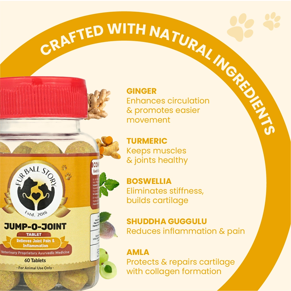 FurBall Story Jump O Joint Care tablets for Dogs and Cats