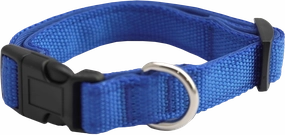 Furwear - Padded Dog Collar (Blue)