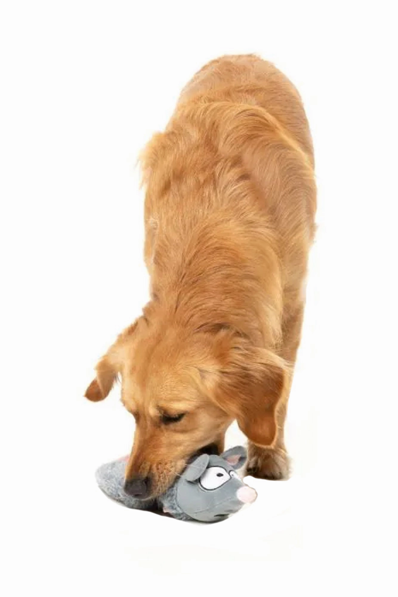 FuzzYard Rack Off Rat Plush Dog Toy