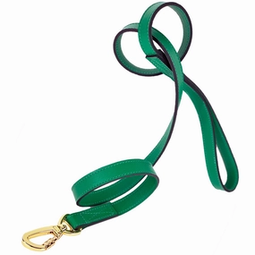 Galaxy Collection Dog Leash Emerald