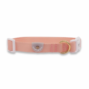 Gentle Pup - Dog Collar - Camelia