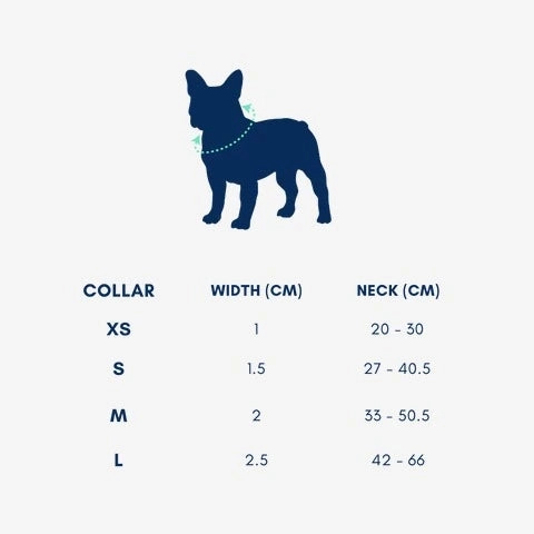 Gentle Pup - Dog Collar - Pistachio