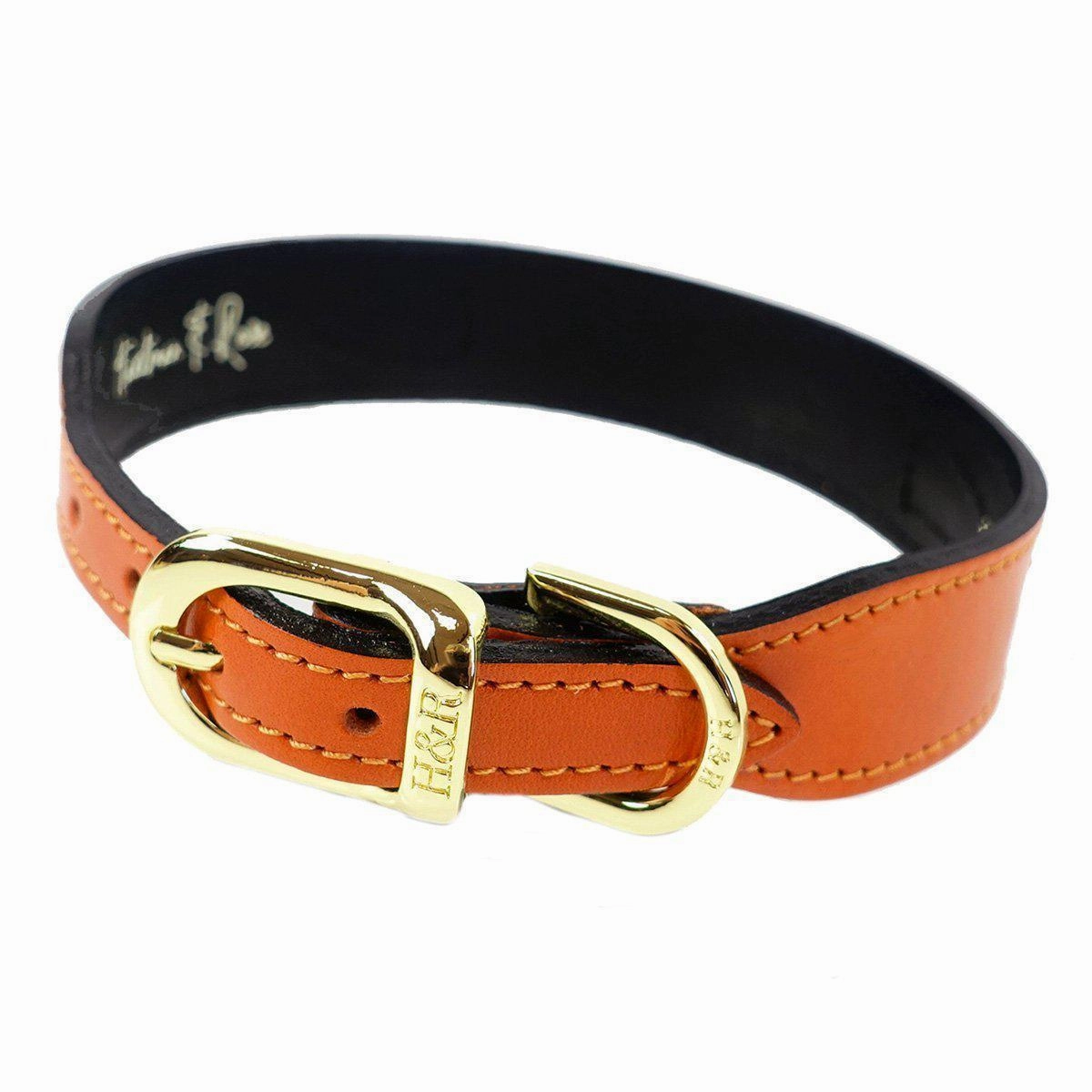 Georgia Rose Collection Dog Collar Tangerine/Pink/Green