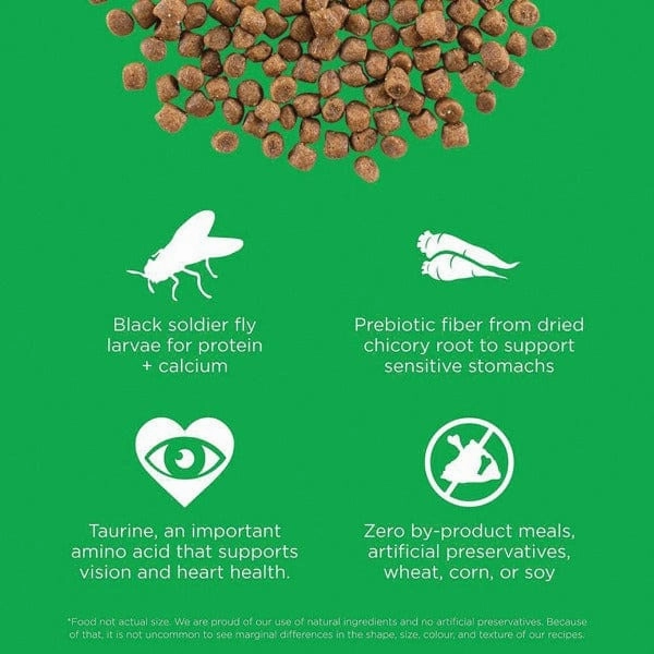 Go! Solutions Sensitivities Limited Ingredient Grain Free Insect Recipe Dry Cat Food (SPECIAL ORDER ITEM)