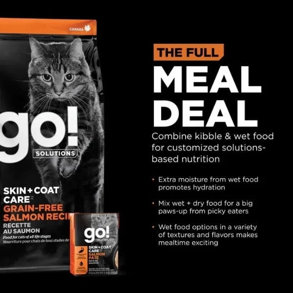 Go! Solutions Skin & Coat Care Grain-Free Salmon Recipe Dry Cat Food