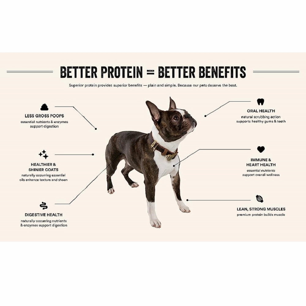 Grain Free Freeze Dried Minnows Dog Treats
