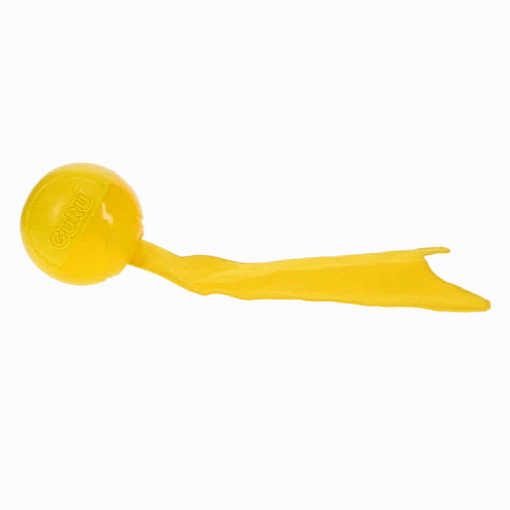 GURU Bonanza Ball Dog Toy