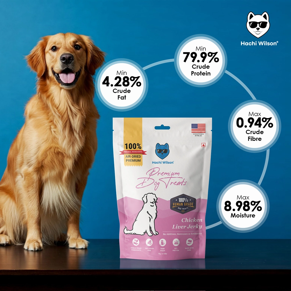 Hachi Wilson Premium Chicken Liver Jerky Dog Treat