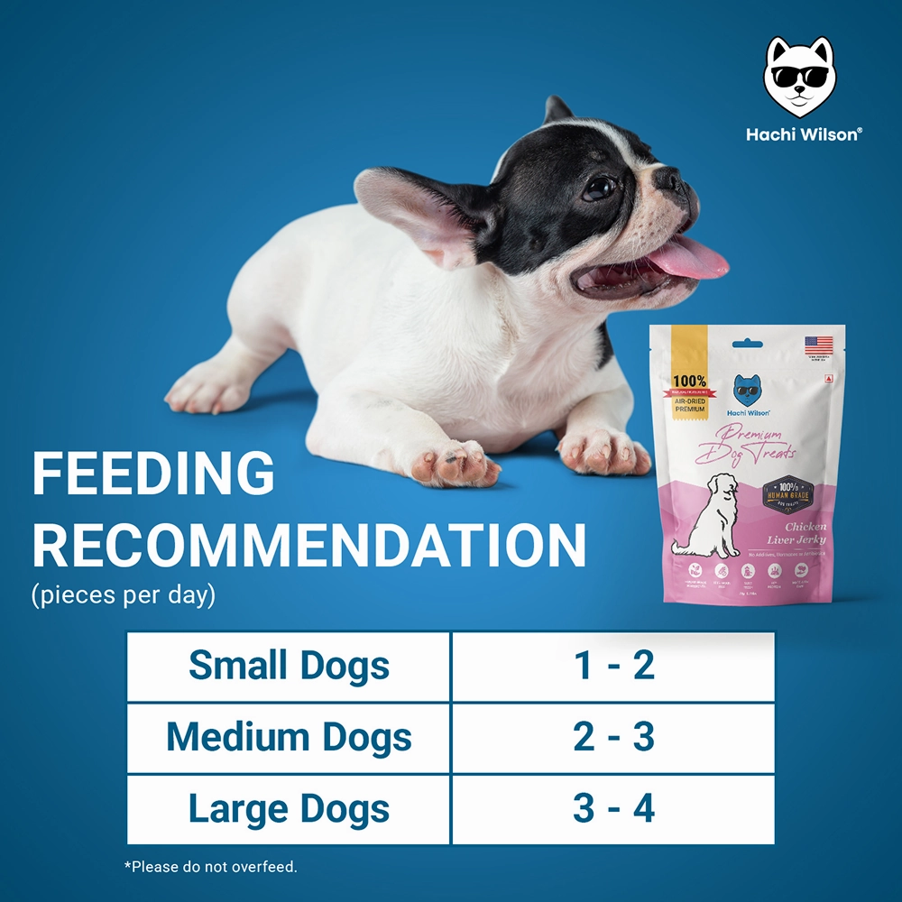 Hachi Wilson Premium Chicken Liver Jerky Dog Treat