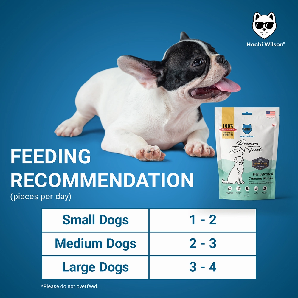 Hachi Wilson Premium Dehydrated Chicken Neck Jerky Dog Treat