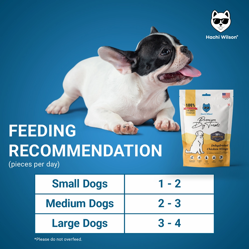 Hachi Wilson Premium Dehydrated Chicken Wings Jerky Dog Treat