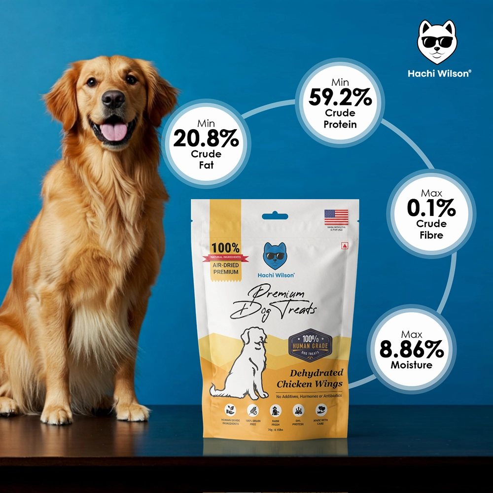 Hachi Wilson Premium Dehydrated Chicken Wings Jerky Dog Treat