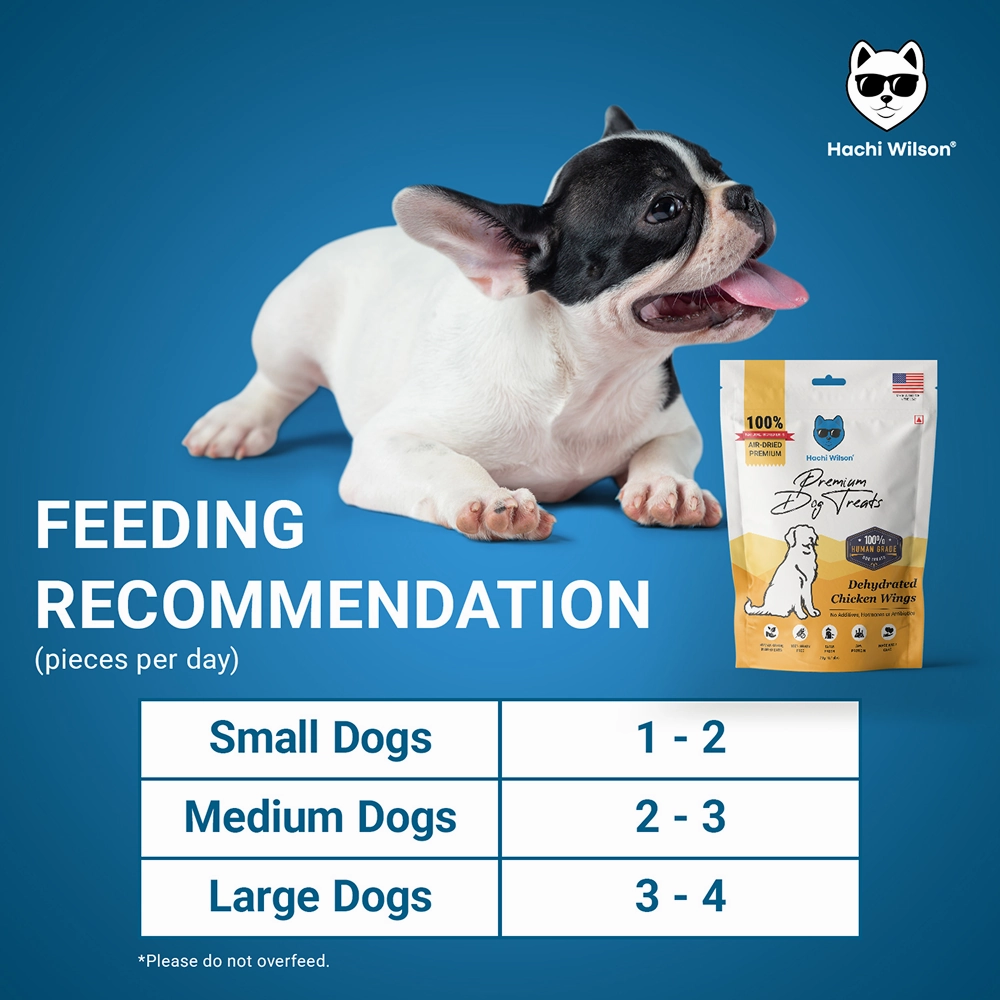Hachi Wilson Premium Dehydrated Chicken Wings Jerky Dog Treat