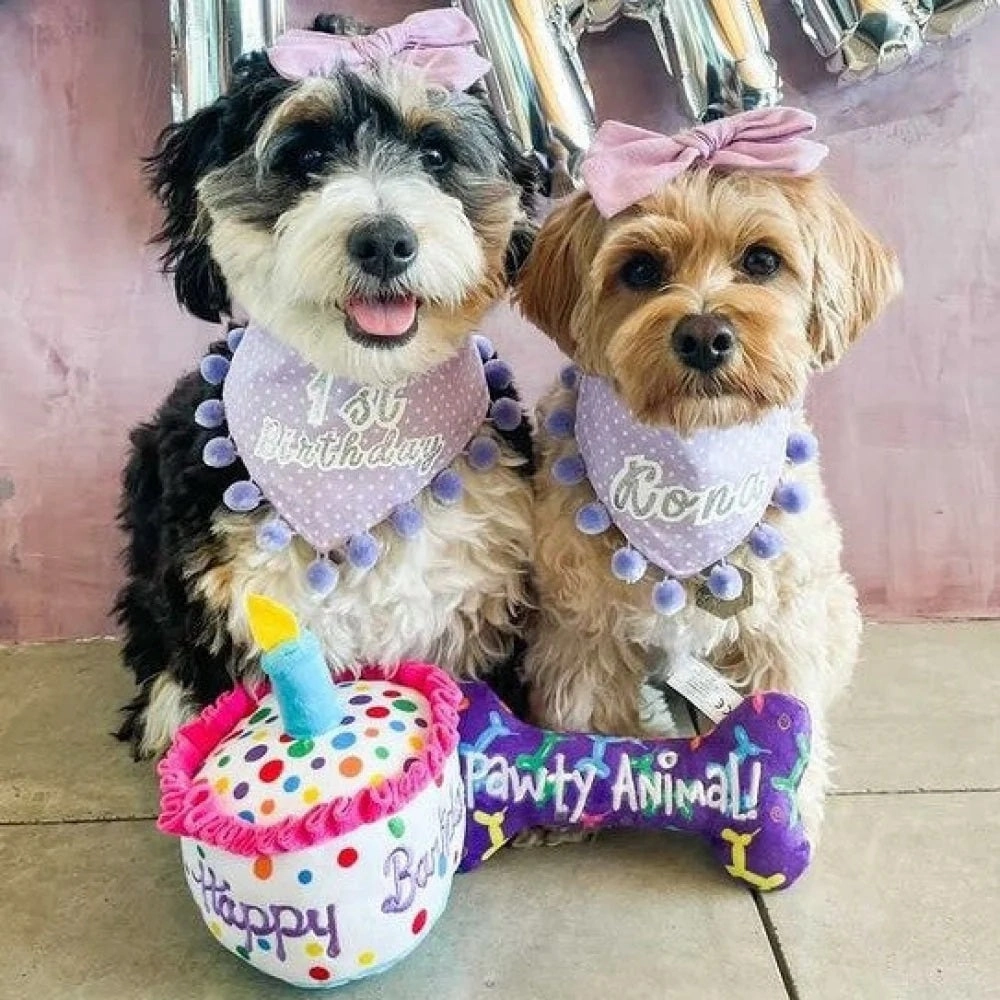 Happy Barkday Cake Dog Plush Toy