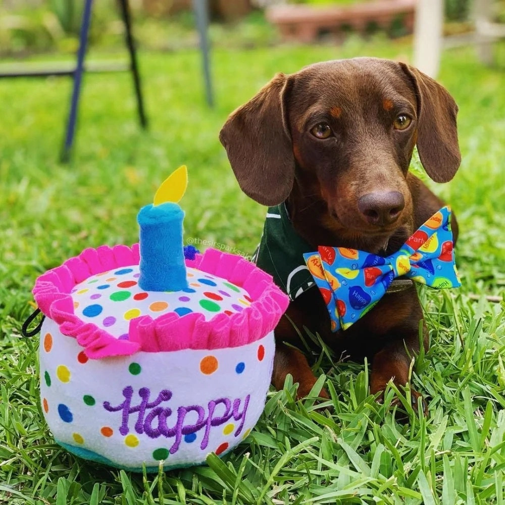 Happy Barkday Cake Dog Plush Toy