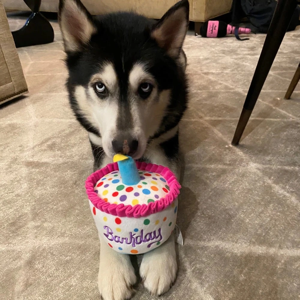 Happy Barkday Cake Dog Plush Toy