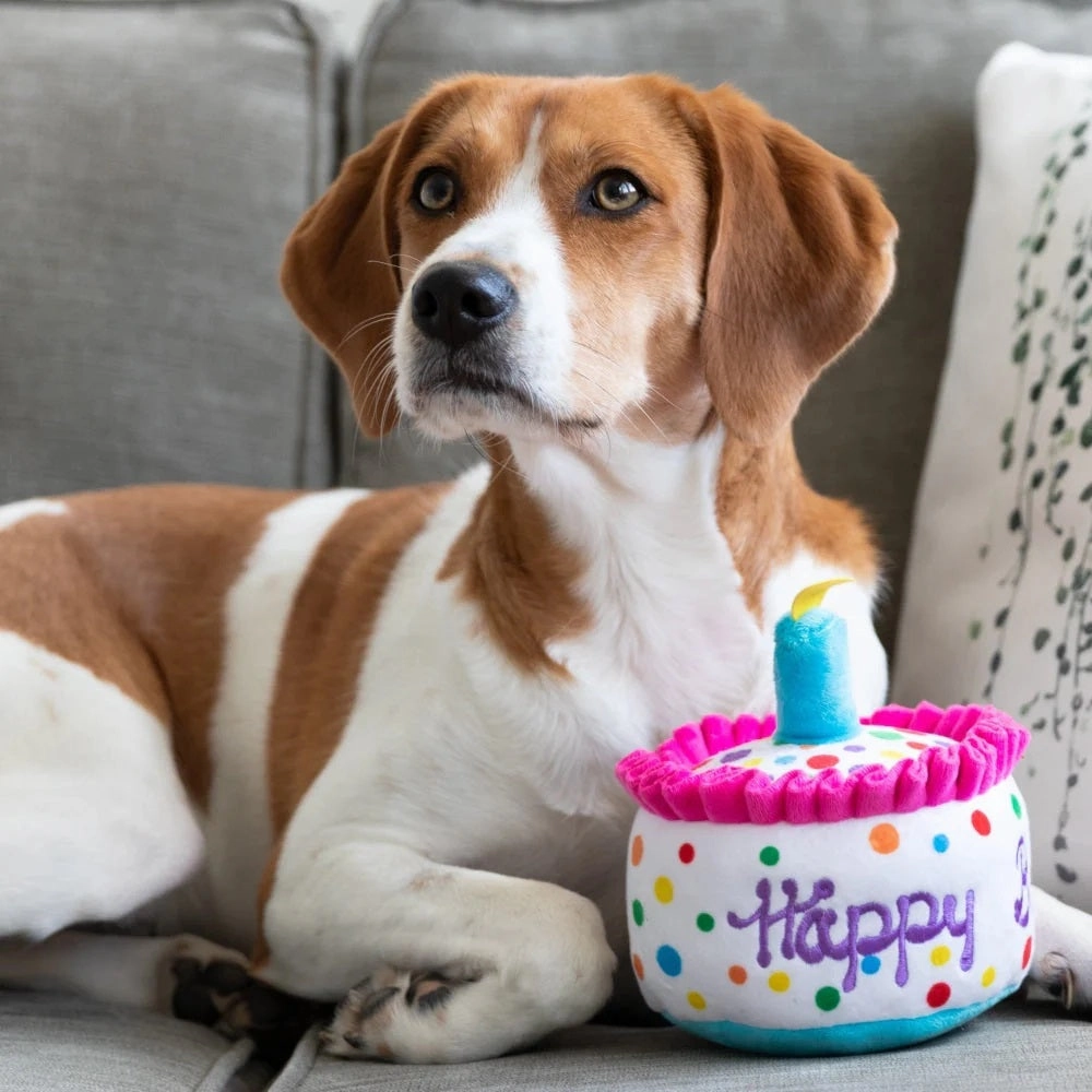 Happy Barkday Cake Dog Plush Toy
