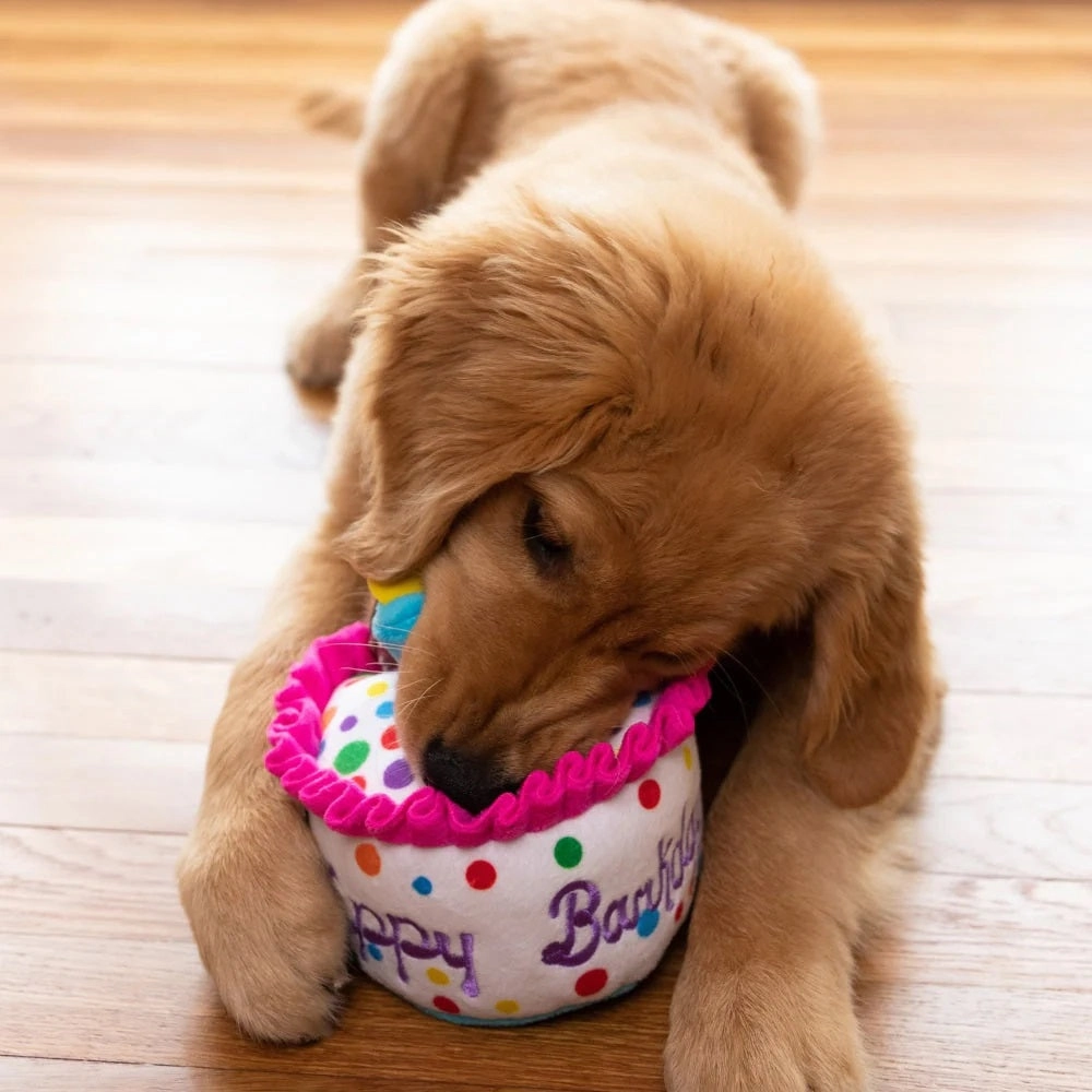 Happy Barkday Cake Dog Plush Toy