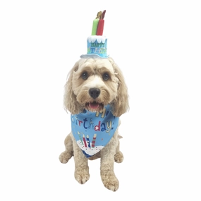 Happy Birthday Cake Hat & Bandana Set - Blue