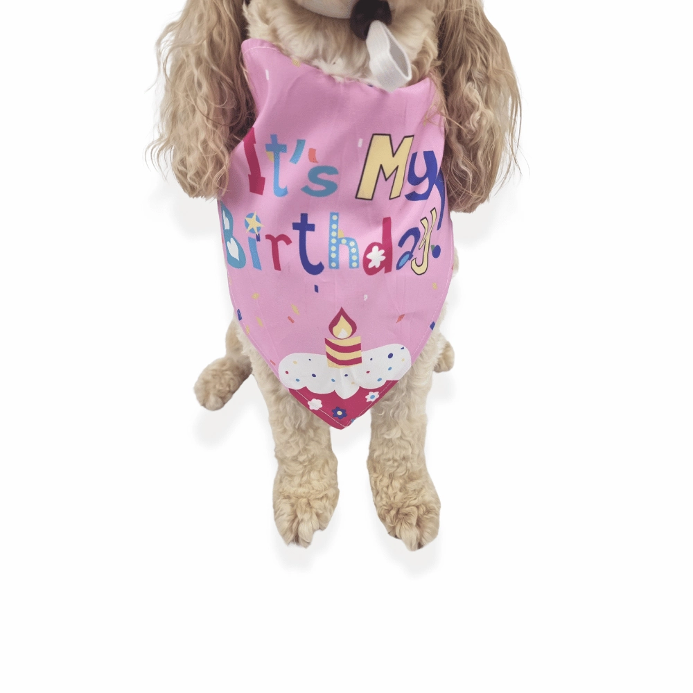 Happy Birthday Cake Hat & Bandana Set - Pink