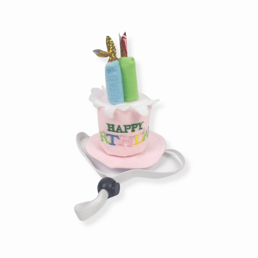 Happy Birthday Cake Hat & Bandana Set - Pink