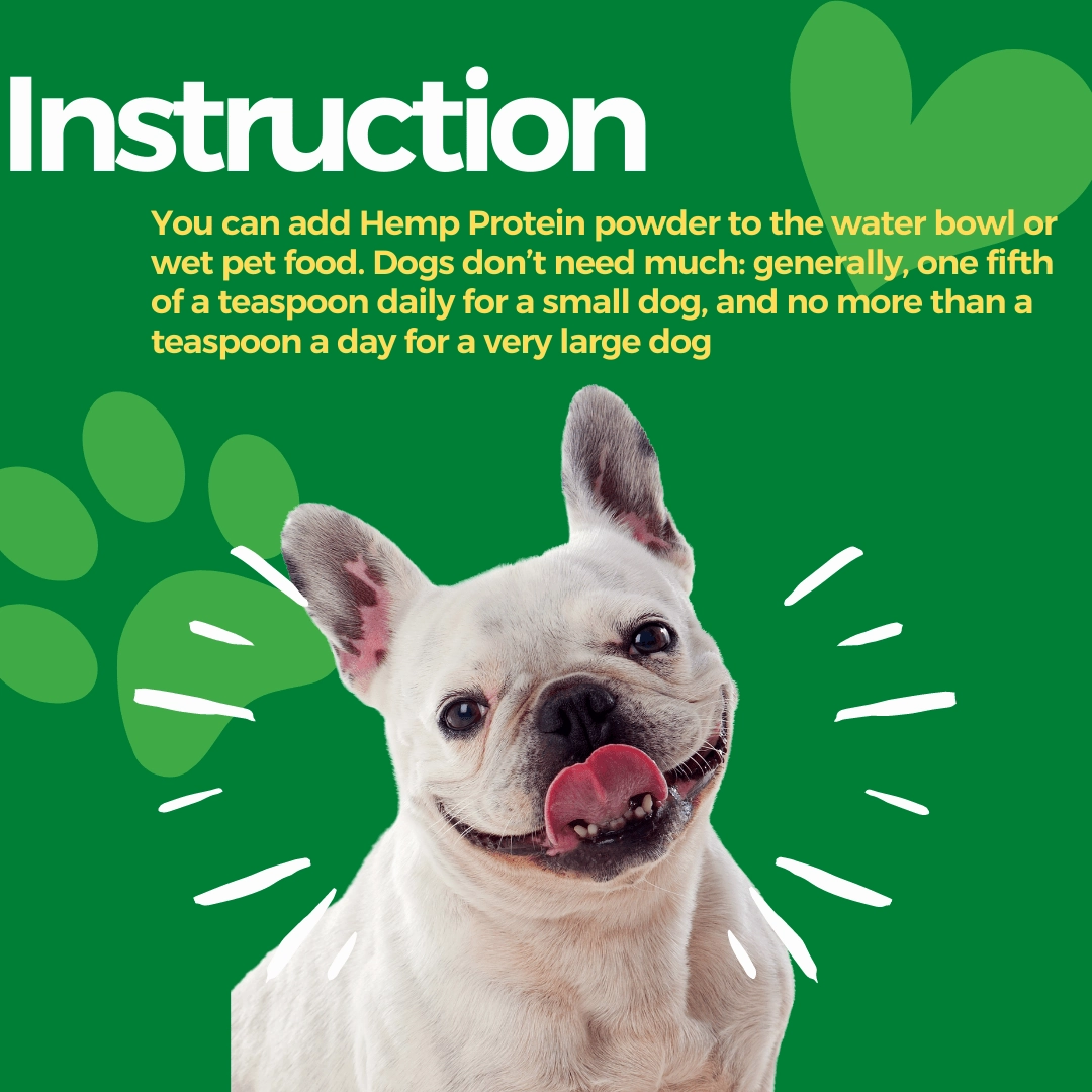 Healing Leaf Hemp Protien Powder for Pets and Fresh For Paws Eggstravaganza Dog Wet Food Combo