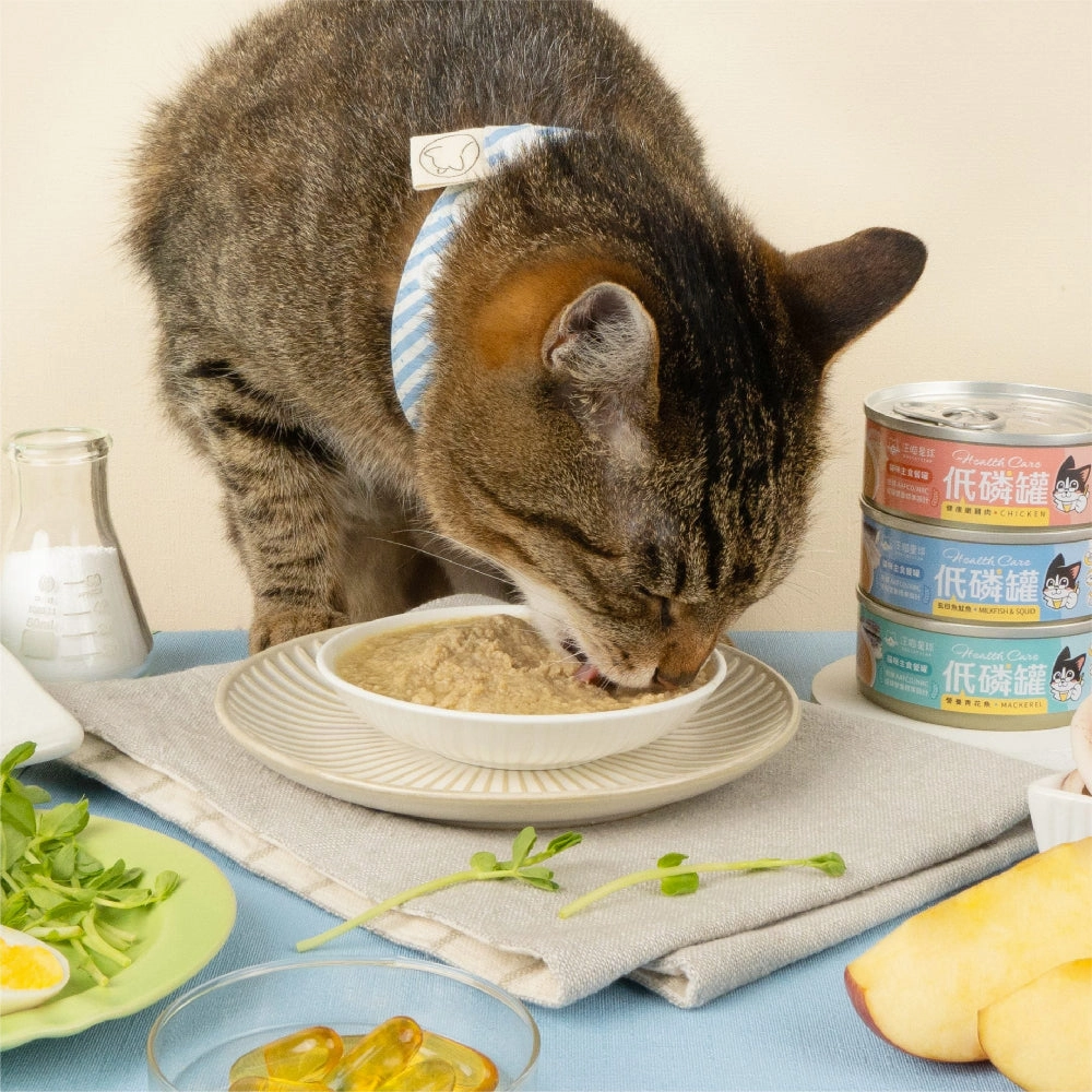 Health Care - Low Phosphorus Milkfish & Squid Complete Balanced Cat Can