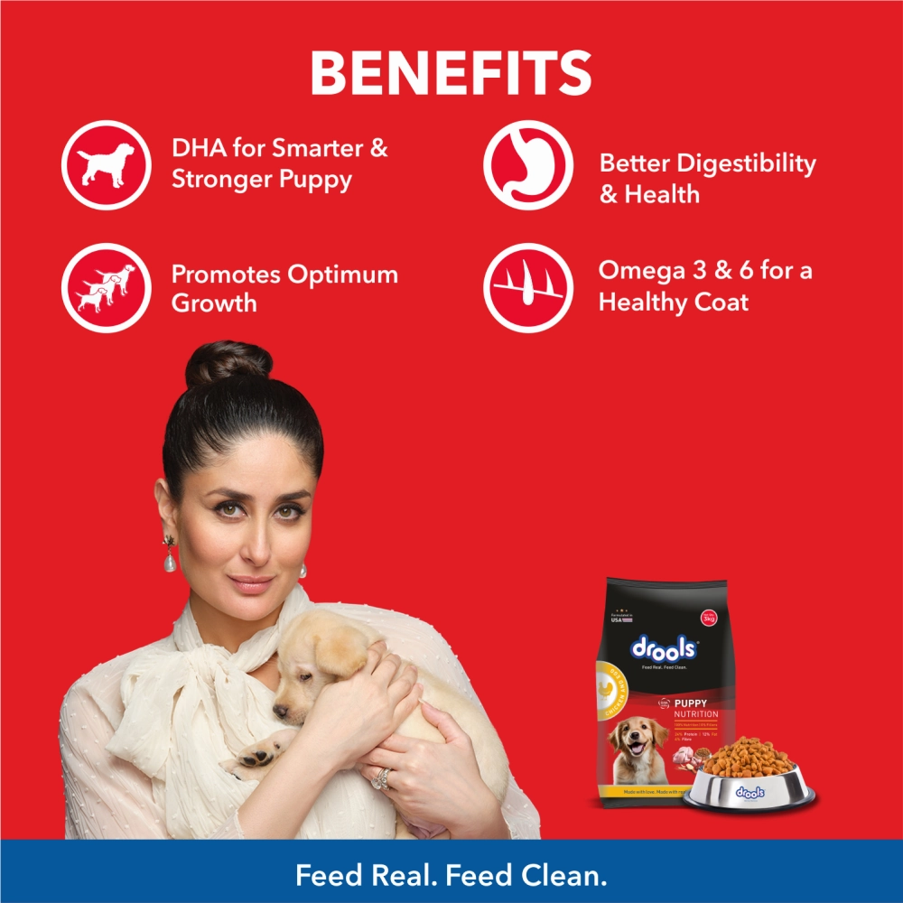 Henlo & Drools Treats, Bark Out Loud Paw Butter, Drools Puppy Food & Teething Toy Limited Puppy Hamper