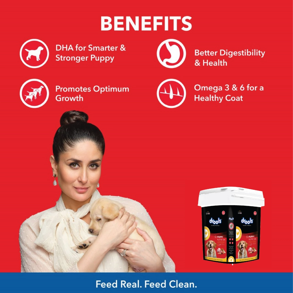 Henlo & Drools Treats, Bark Out Loud Paw Butter, Drools Puppy Food & Teething Toy Limited Puppy Hamper
