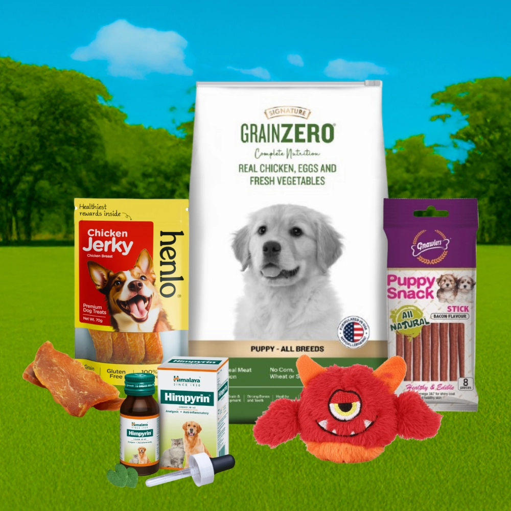 Henlo & Gnawlers Treats, Himpyrin Drops, Signature Puppy Food & Basil Plush Squeaky Toy Limited Dog Hamper