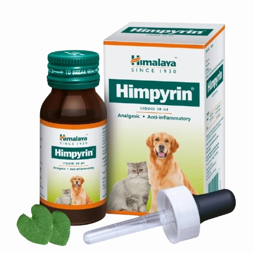 Henlo & Gnawlers Treats, Himpyrin Drops, Signature Puppy Food & Basil Plush Squeaky Toy Limited Dog Hamper