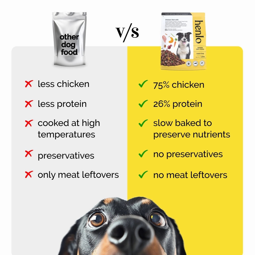 Henlo Chicken & Vegetable and Chicken & Egg Baked Dry Food for Adult Dogs Combo