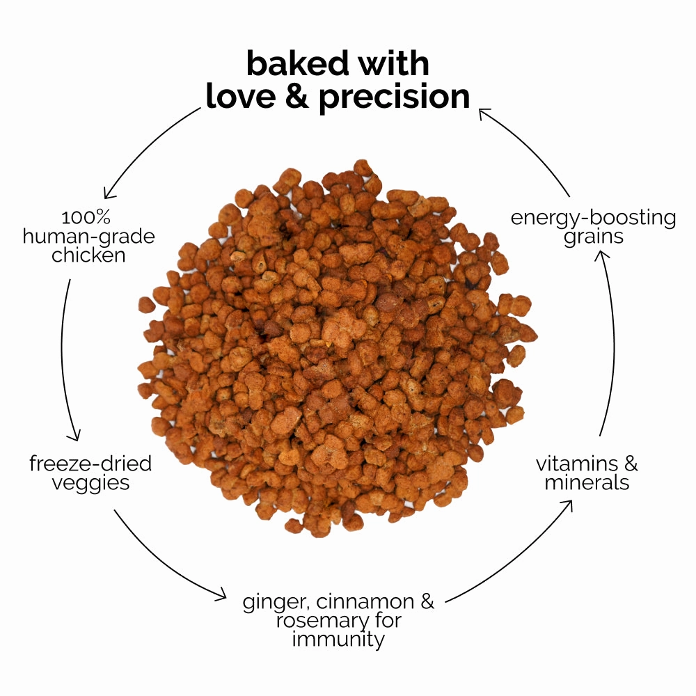 Henlo Chicken and Egg Baked Dry Food for Adult Dogs & Puppies and Chicken Jerky Treats for Dogs Combo