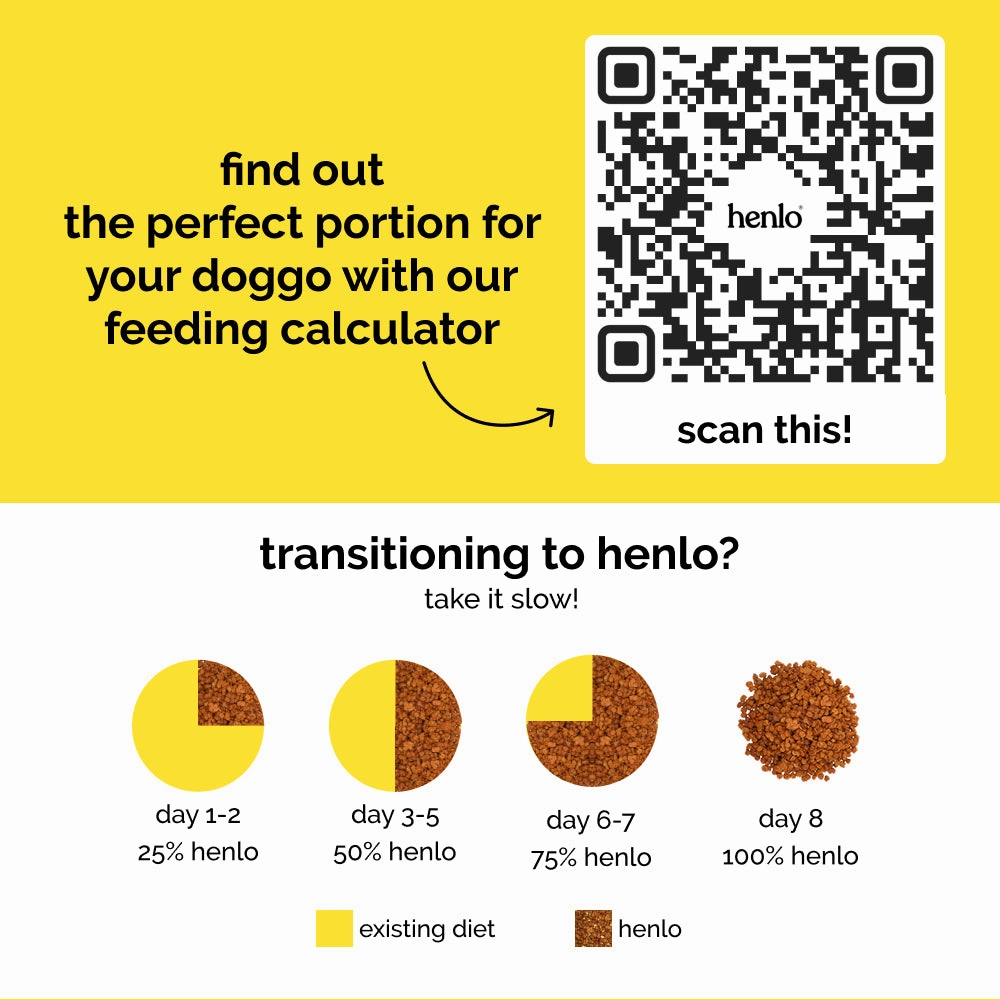 Henlo Chicken and Egg Baked Dry Food for Adult Dogs & Puppies and Chicken Jerky Treats for Dogs Combo