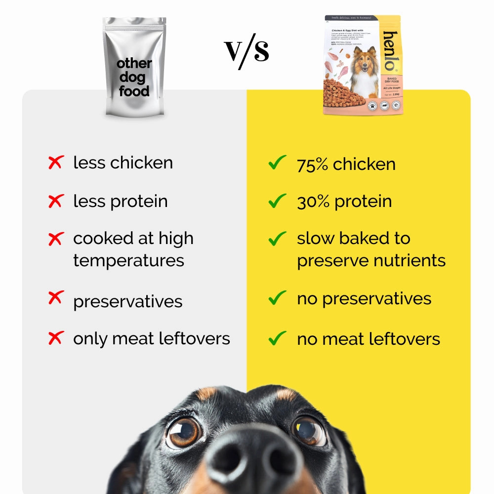 Henlo Chicken and Egg Baked Dry Food for Adult Dogs & Puppies and Chicken Pops Treats for Dogs Combo