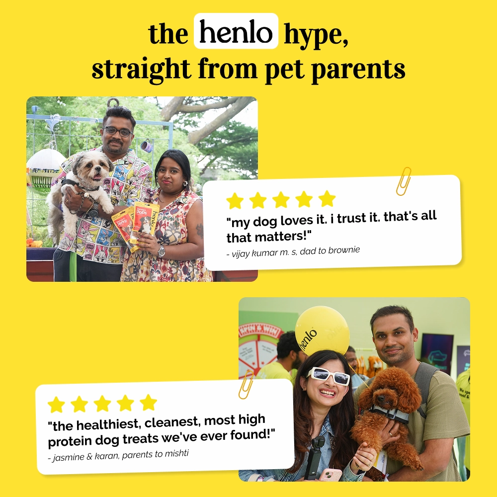 Henlo Chicken Pops High Protein Treats & Basil Orange Plush Monster Squeaky Ball Toy Dog Combo
