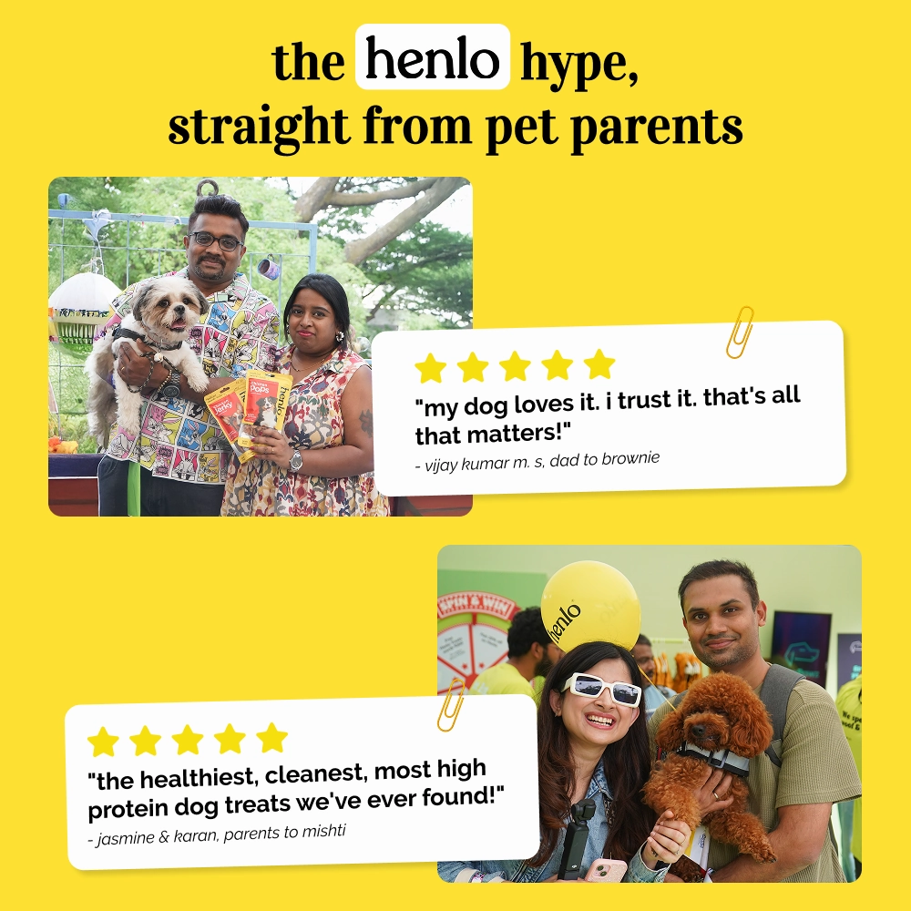 Henlo Chicken Pops High Protein Treats & Basil Orange Plush Monster Squeaky Ball Toy Dog Combo