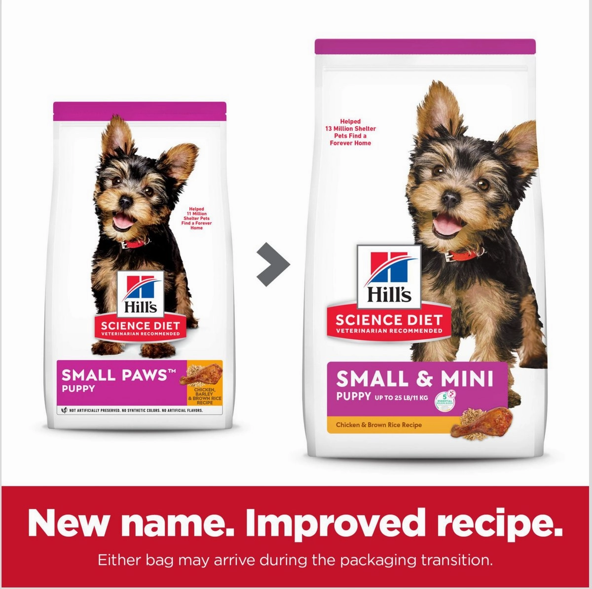 Hill's Science Diet Puppy Small & Mini Chicken Recipe Dry Dog Food