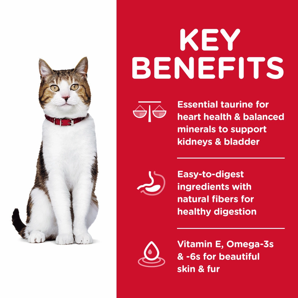 Hill's Science Diet Senior 7  Chicken Recipe Dry Cat Food