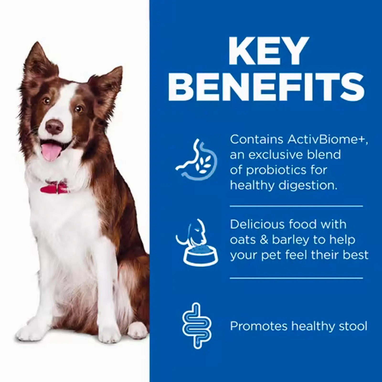 Hill's Science Diet (Specialty) - Perfect Digestion Canine Adult 1  Chicken, Brown Rice & WholeOats 3.5lbs
